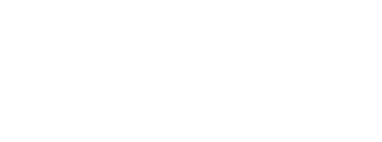 logo ballistix